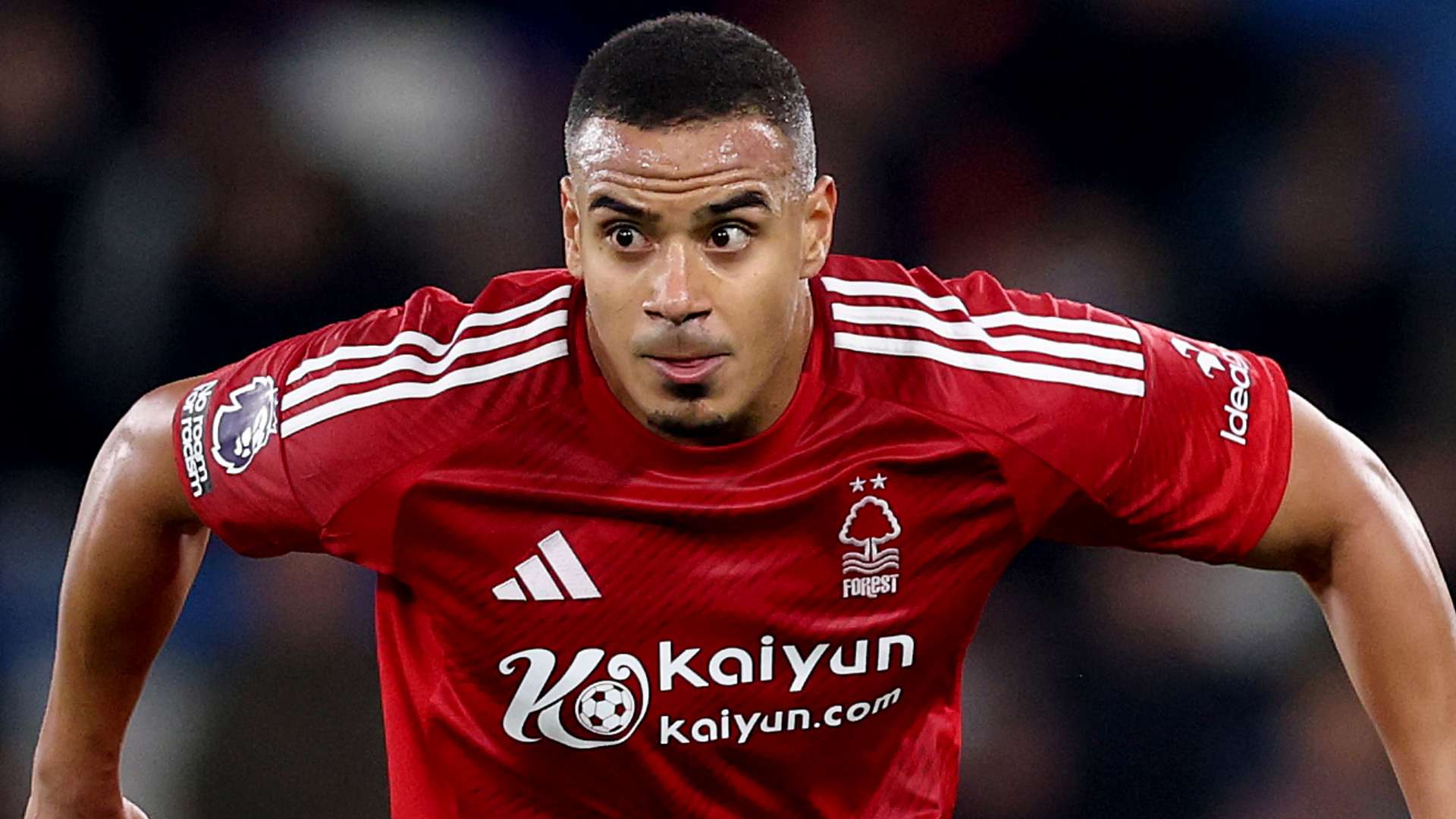 目和赛后的 目和赛后的